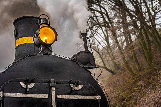 A historic steam train in northern Europe, on old film stock