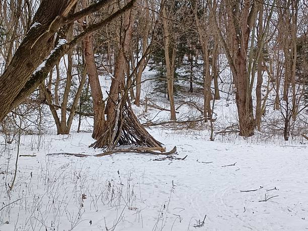 A primitive shelter made from sticks and branches stands in a snowy, bare winter forest or wooded area.
