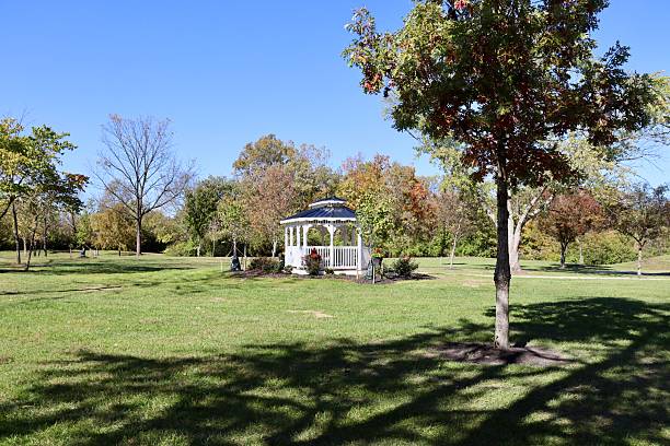 istock Gazebo in the Field 2254498260