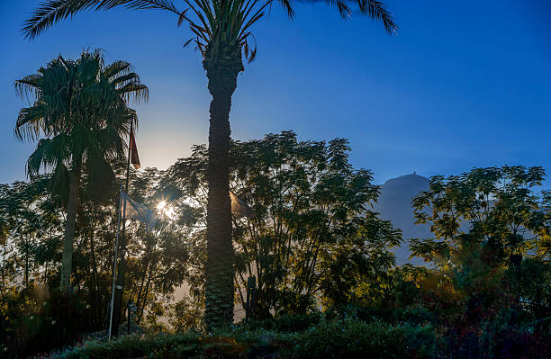 A tall date palm tree (Phoenix dactylifera) stands silhouetted against a vibrant golden hour sunset, with sunlight piercing through fronds creating lens flare and warm glow. Distant mountains shrouded in haze frame the scene, accompanied by other palms, vegetation, and a shaded canopy structure evoking a serene Turkish resort on the Turquoise Coast. This idyllic tropical landscape captures the essence of Mediterranean leisure and natural beauty near Fethiye or Gocek.