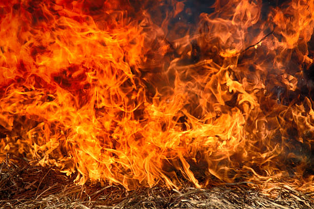 Bright flames burn a basket against a deep black background, creating a strong visual contrast and dramatic atmosphere. The fire highlights texture, movement, and intensity, symbolizing destruction, transformation, danger, or heat