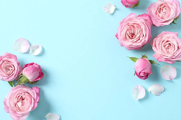istock Beautiful composition with pink roses on blue background 2254500964