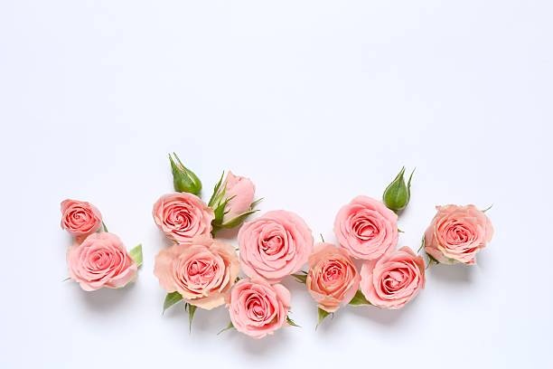 istock Beautiful composition with pink roses on white background 2254502745