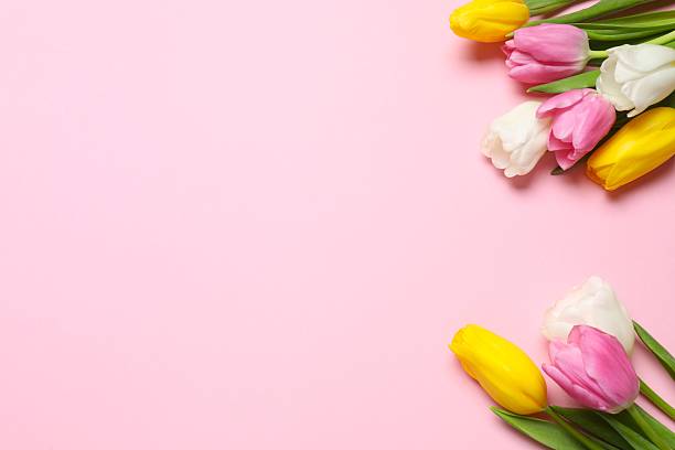 istock Beautiful fresh tulips on color background, top view 2254503053