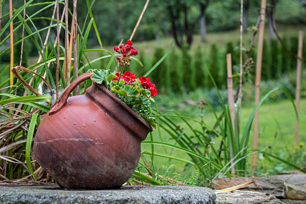 a garden with a garden balsam bed, a giant terracotta pot with red flowers spilling out of the bottom and a small hole on top for a bird's nest to enter, a simple green grass ground in front, and a large area of blank space.