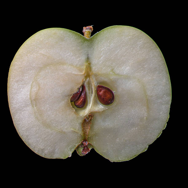 Macro photo of a green apple half with seeds isolated on black background. Detailed texture of fresh organic fruit in a minimalist composition.