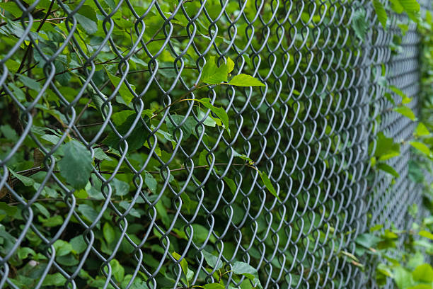 istock Chain Link Fence Amid Lush Greenery on Oregon Coast Trail 2254512549