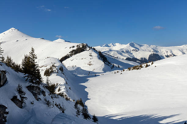 A wide-angle landscape shot of a massive, snow-blanketed mountain range beneath a brilliant, deep blue sky. The foreground highlights the unique wind-blown textures and ripples in the snow, leading the viewer's eye toward several sharp, sunlit peaks. The image evokes a sense of cold, quiet majesty and the vastness of the alpine wilderness, perfect for travel, adventure, and nature-themed projects.