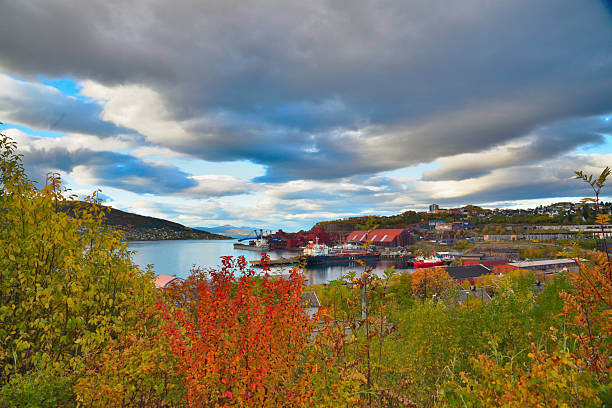 Narvik shows colorful trees framing the view of the Alta Fjord and mountains. Clouds fill the sky above, creating a nice backdrop. This outdoor scene captures the essence of travel in Norway.