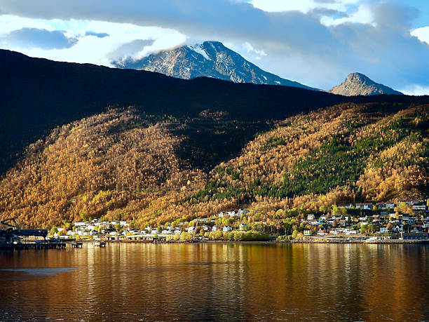 istock Scenic View of Narvik With Fall Colors in October 2254515716