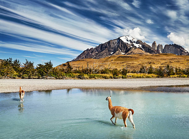 istock Torres del Paine National Park, Chile 2254516921