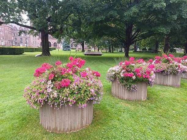 âToronto, ON, Canada - September 3, 2025: A lush green lawn with various trees and a paved path stretches through a quiet city park on a cloudy afternoon.