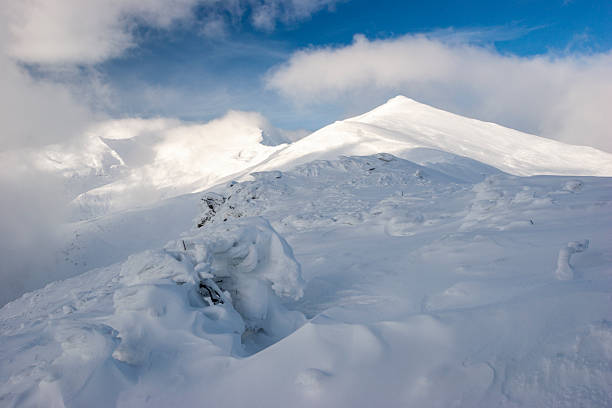 A wide-angle landscape shot of a massive, snow-blanketed mountain range beneath a brilliant, deep blue sky. The foreground highlights the unique wind-blown textures and ripples in the snow, leading the viewer's eye toward several sharp, sunlit peaks. The image evokes a sense of cold, quiet majesty and the vastness of the alpine wilderness, perfect for travel, adventure, and nature-themed projects.