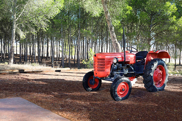 Salinas, Alicante, Spain- December 17, 2025: Old tractor Fiat model exhibited in Rafa Canizares cellar in Salinas town, Alicante