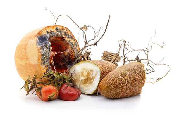 istock Rotten vegetables with mold isolated on a white background. 2254520317