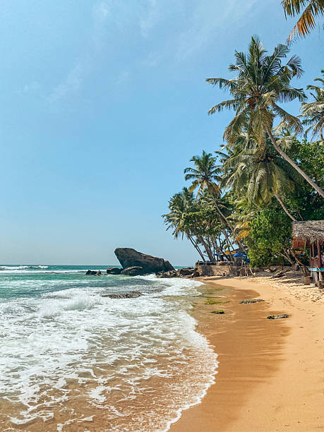 istock Dalawella beach in Sri Lanka 2254520455
