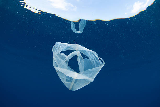istock Plastic Bag Drifting in the Ocean 2254529487