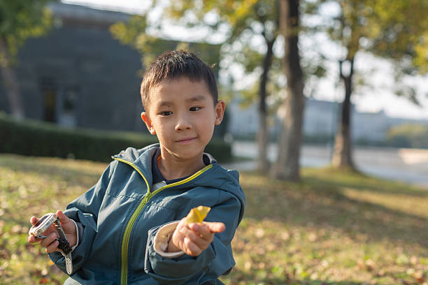 6-7 Years, Adventure, Autumn, Autumn Leaf Color, Boys
