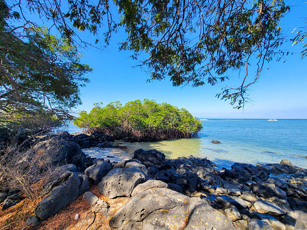 istock Sea Landscape near Banyuwangi, Java, Indonesia 2254537732