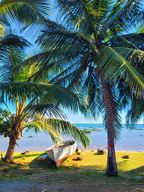 istock Le Morne beach in Mauritius island 2254537932
