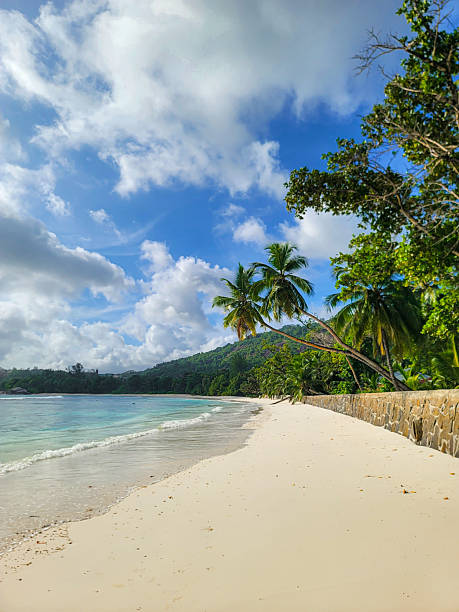 istock Anse Forbans beach on Mahe island, Seychelles 2254537947