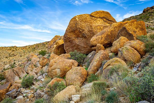 Panoramic rocky desert landscape along Fortynine Palms Oasis Trail showcasing rugged terrain in Joshua Tree National Park California