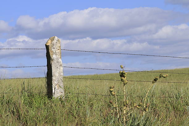 A shot of a Stone Post fence in a Kansas Pasture with green grass, blue sky and white clouds north of Lucas Kansas USA.