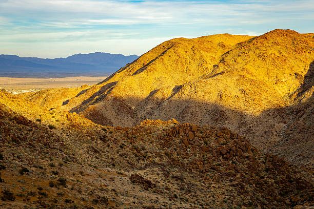Panoramic rocky desert landscape glowing at sunset across Joshua Tree National Park in California