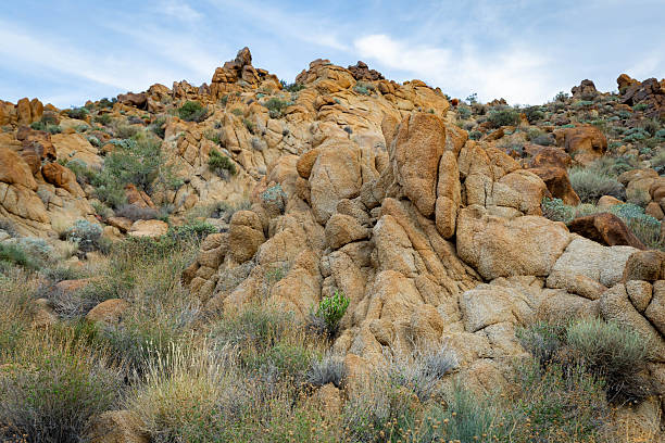 Panoramic rocky desert landscape along Fortynine Palms Oasis Trail showcasing rugged terrain in Joshua Tree National Park California