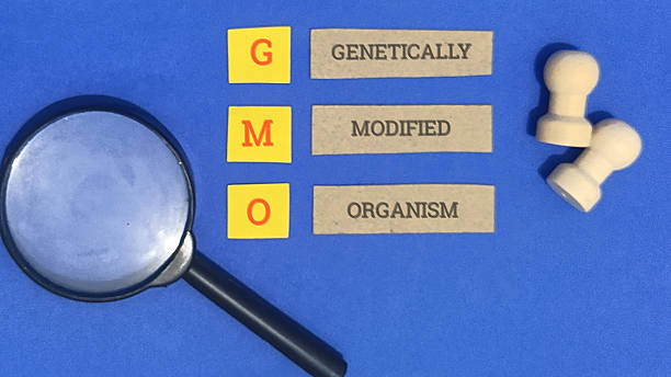 istock Genetically modified organism concept with magnifying glass 2254541411