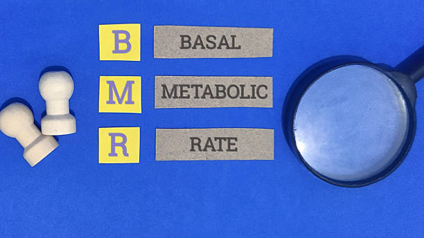 istock Basal metabolic rate concept with magnifying glass and puzzle pieces 2254541420