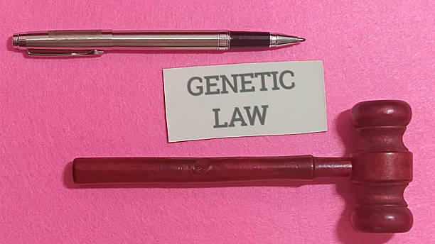 Genetic law concept with gavel, pen, and note on pink background