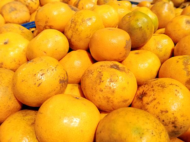 Orange fruit in supermarket