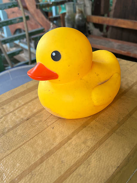 yellow toy duck on wooden background