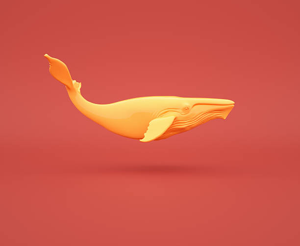 A yellow whale model floats in front of a red backdrop. Concept of wisdom, longevity. This is a 3d render illustration, made by hand.