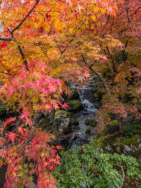 istock Japanese popular locations 2254552736