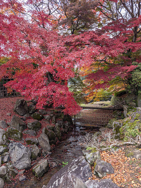 istock Japanese popular locations 2254552770