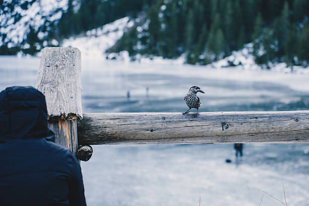 Photographer: Borislav Filipovic