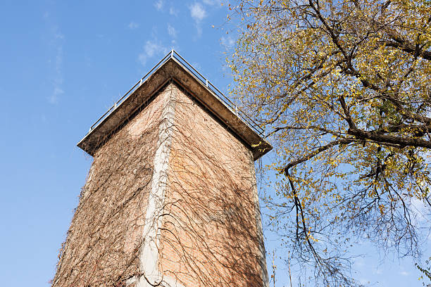 Abandoned tower twined by plants