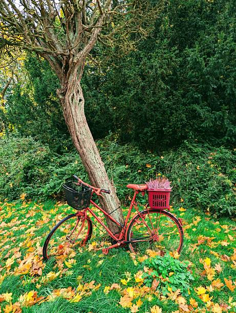 An old bicycle as a decorative element in a park in northern Germany (Bad Doberan)