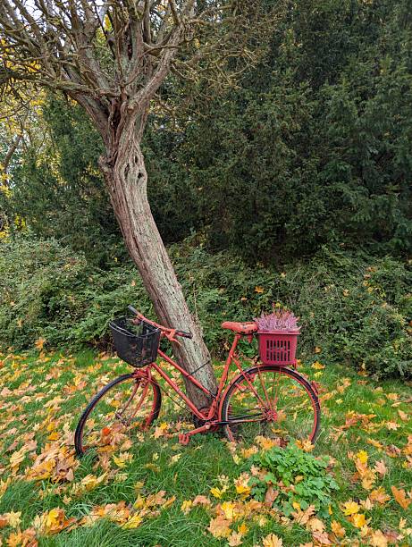 An old bicycle as a decorative element in a park in northern Germany (Bad Doberan)