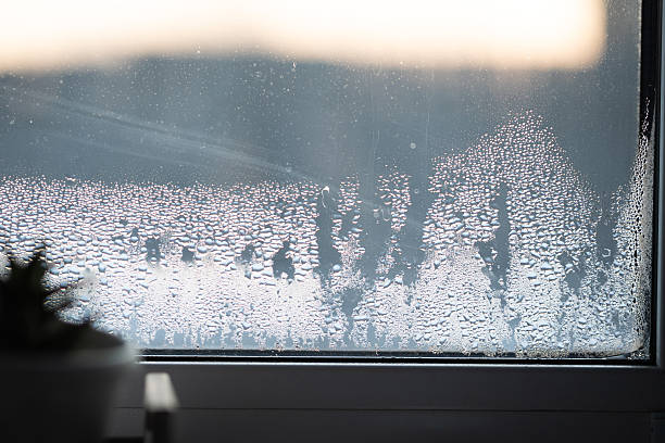 istock Ventilation and Humidity Control to Prevent Mold in Housing During Winter Months 2254564178