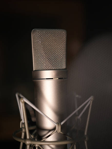 istock Close-up of a Professional Recording Microphone 2254566845