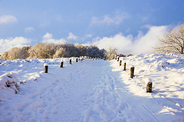 A scenic trail leads through a snow-covered field towards a forest under a clear blue sky