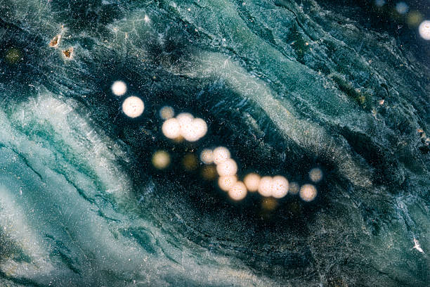 istock Polished orbicular ocean Jasper detail 2254572649