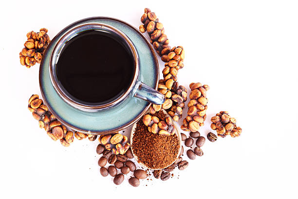 istock Luwak coffee beans are a rare and expensive delicacy 2254572805