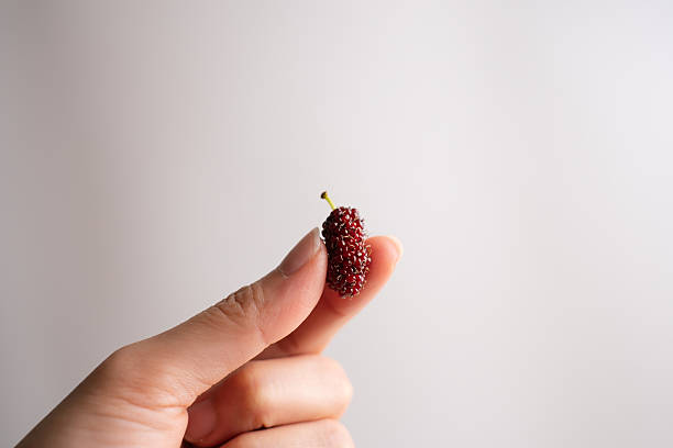 Healthy lifestyle concept. Fresh fruit concept.