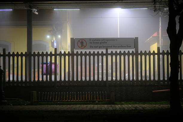 Black and white night scene of a foggy train station with glowing lights and the silhouette of a bare tree in the foreground. A fence runs along the platform, adding depth and structure to the composition. The mist and low light create a quiet, moody, and cinematic atmosphere. Suitable for concepts such as travel, waiting, solitude, uncertainty, urban life, night, reflection, and transition.