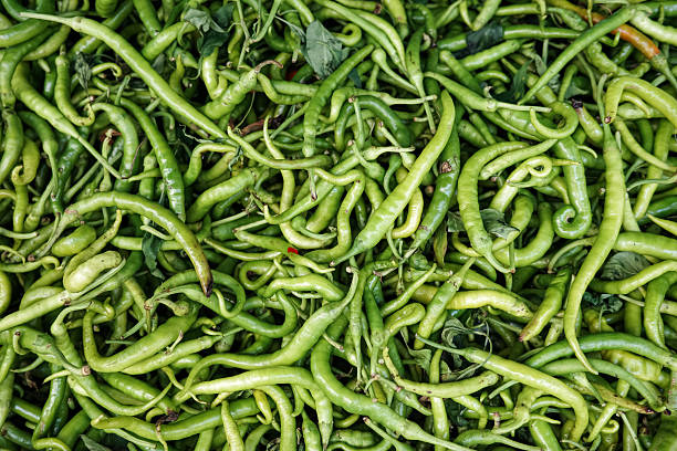 Closeup full frame background of many fresh green chili peppers