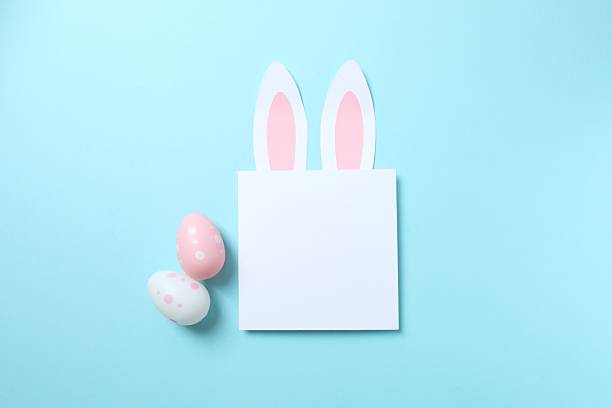 Happy Easter. Colorful eggs with bunny ears and white paper card on color background, space for text or advertising